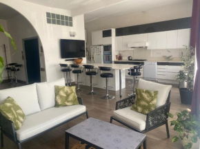 grand appartement sur canal a 2 pas du centre ville de Sète
